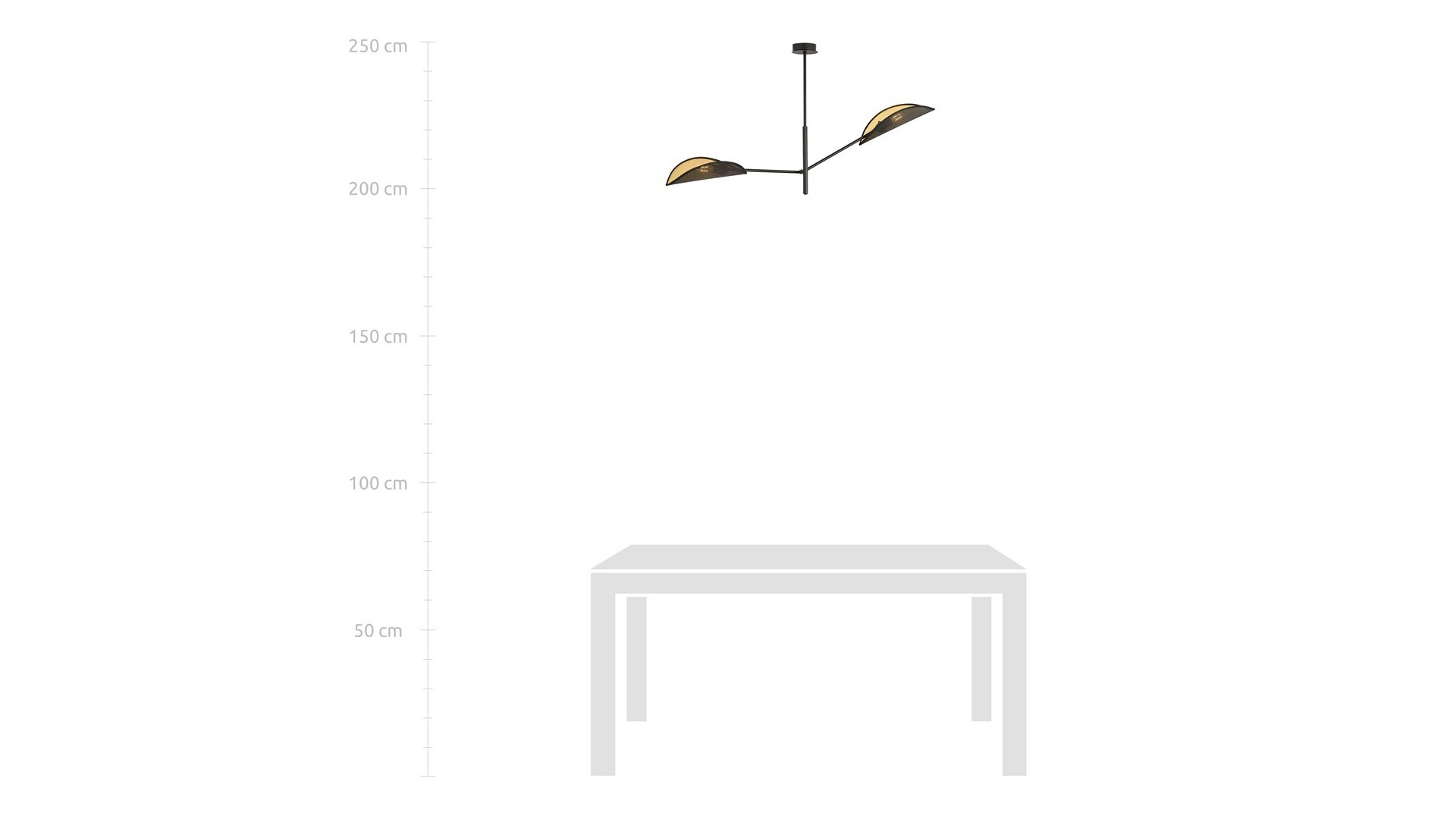 LAMPA SUFITOWA VENE 2-PUNKTOWA CZARNA/ZŁOTA EMIBIG