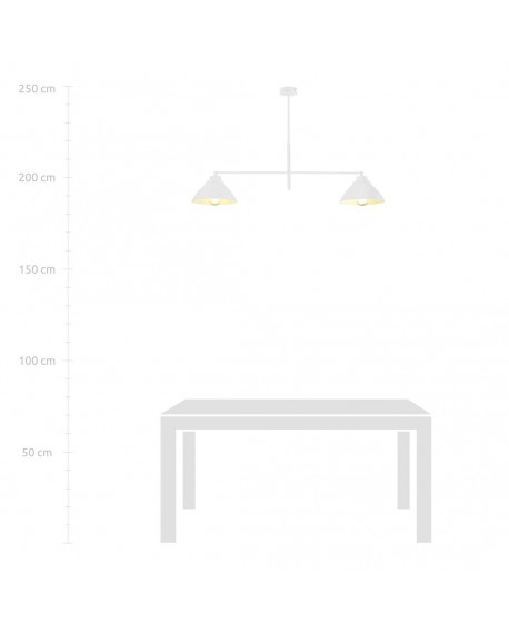 LAMPA SUFITOWA MAVERICK 2-PUNKTOWA BIAŁA EMIBIG