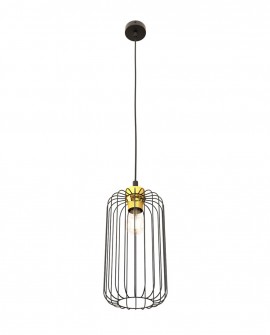 VANDER 1 BL GOLD EMIBIG