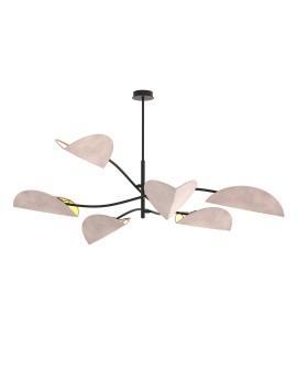 LOTUS 6 BL GRAY EMIBIG