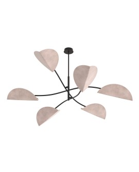 LOTUS 6 BL GRAY EMIBIG