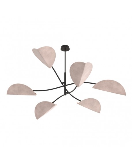 LOTUS 6 BL GRAY EMIBIG
