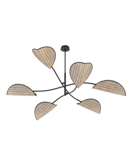LOTUS 6 BL NATURAL EMIBIG