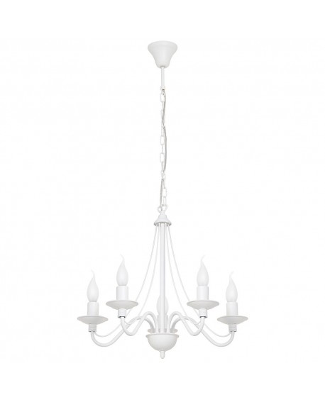 ŻYRANDOL RÓŻA 5 WHITE ALDEX 397F