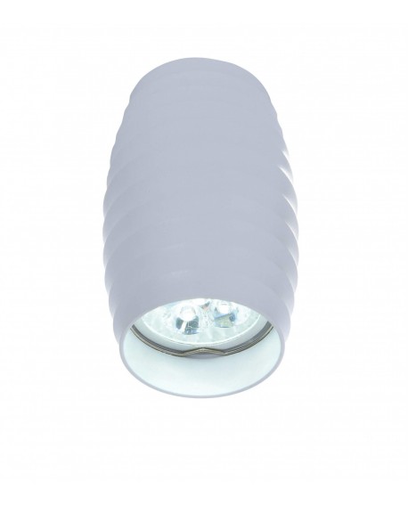 OPRAWA NATYNKOWA SPOT TUBA BIAŁA BORA R1