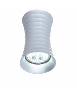 OPRAWA NATYNKOWA SPOT TUBA SREBRNA NORA