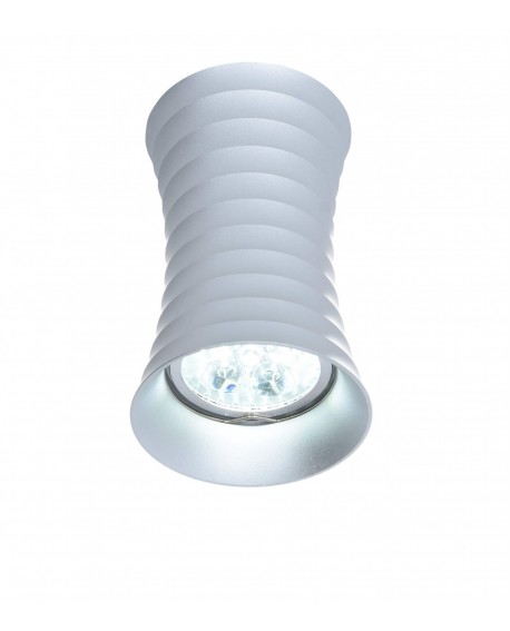 OPRAWA NATYNKOWA SPOT TUBA SREBRNA NORA