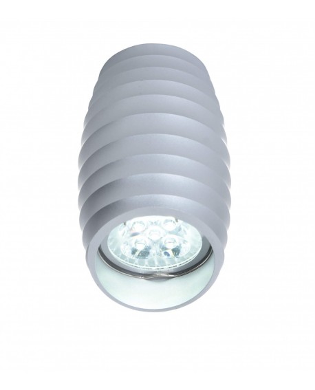 OPRAWA NATYNKOWA SPOT TUBA SREBRNA BORA R2