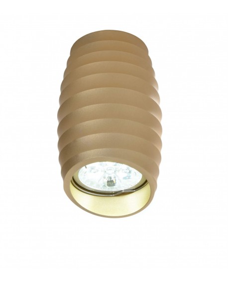 OPRAWA NATYNKOWA SPOT TUBA ZŁOTA BORA R2