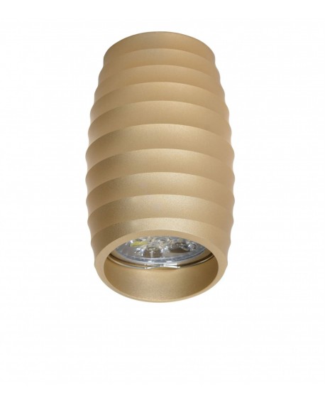 OPRAWA NATYNKOWA SPOT TUBA ZŁOTA BORA R2