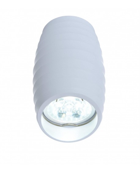 OPRAWA NATYNKOWA SPOT TUBA BIAŁA BORA R2