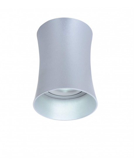 OPRAWA NATYNKOWA SPOT TUBA SREBRNA TERA R1