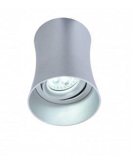 OPRAWA NATYNKOWA SPOT TUBA SREBRNA TERA R1