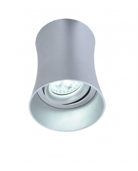 OPRAWA NATYNKOWA SPOT TUBA SREBRNA TERA R1