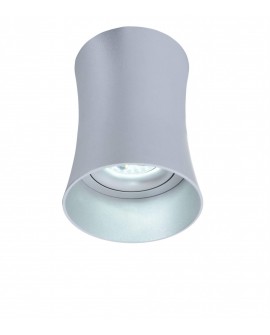 OPRAWA NATYNKOWA SPOT TUBA SREBRNA TERA R1