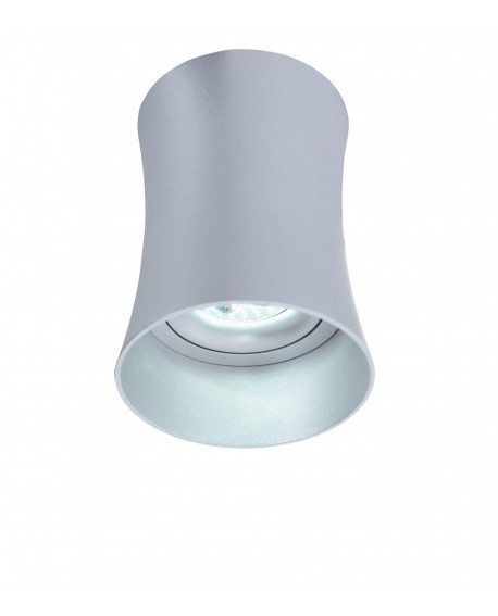 OPRAWA NATYNKOWA SPOT TUBA SREBRNA TERA R1