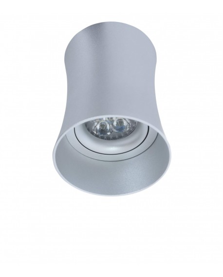 OPRAWA NATYNKOWA SPOT TUBA SREBRNA TERA R1