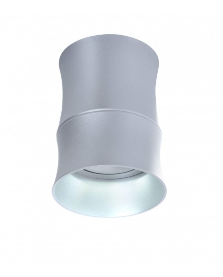 OPRAWA NATYNKOWA SPOT TUBA SREBRNA TERA R2