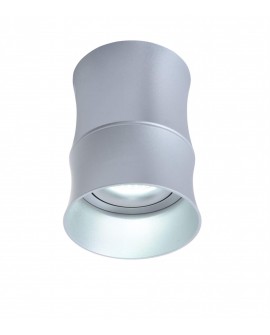 OPRAWA NATYNKOWA SPOT TUBA SREBRNA TERA R2