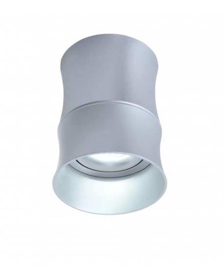 OPRAWA NATYNKOWA SPOT TUBA SREBRNA TERA R2