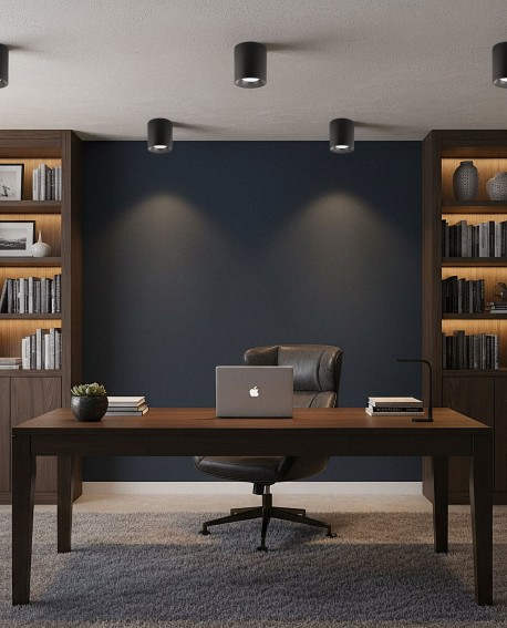 czarna oprawa natynkowa typu spot tuba sufitowa do gabinetu i salonu producent Lampit praktyczna wersja Nuri W1