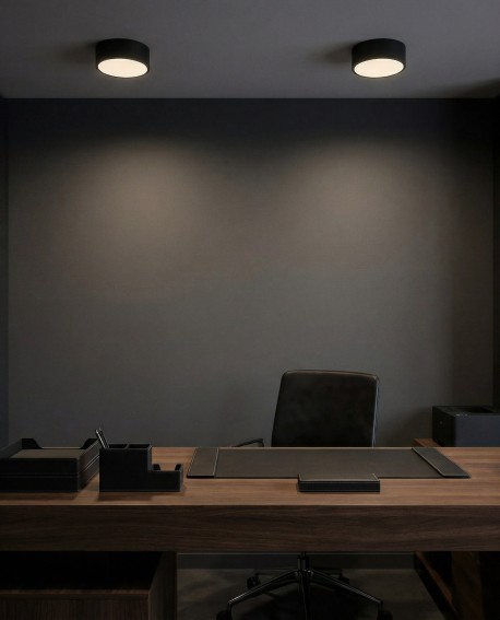 plafon sufitowy Orbo D23 czarny od Lampit doskonałe oświetlenie do nowoczesnych przestrzeni biurowych i salonowych