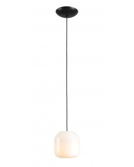 LAMPA WISZĄCA FLASK ORCHID S (żarówki w zestawie)