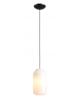 LAMPA WISZĄCA FLASK ORCHID M (żarówki w zestawie)