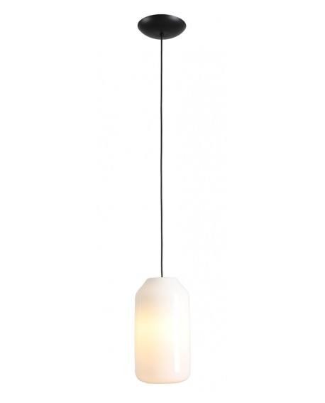 LAMPA WISZĄCA FLASK ORCHID M (żarówki w zestawie)
